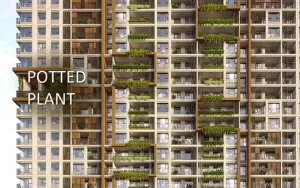 The Ambience Hải Phòng